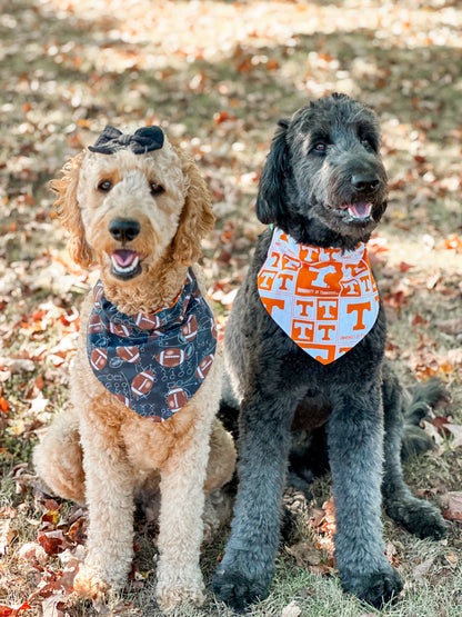 The VOLS dog