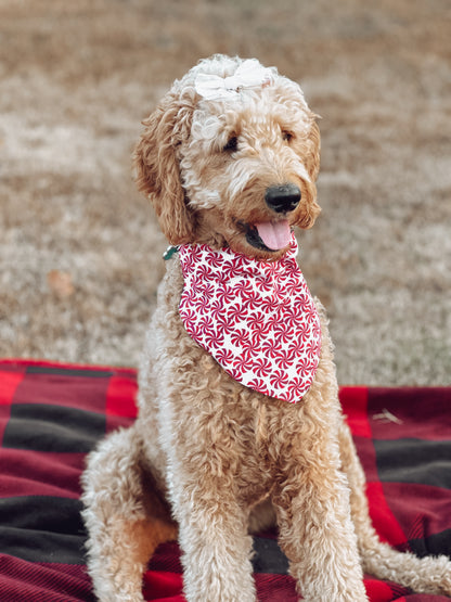 Candy Cane Pups