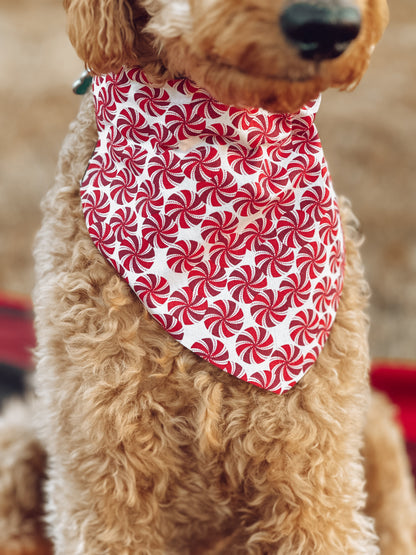 Candy Cane Pups