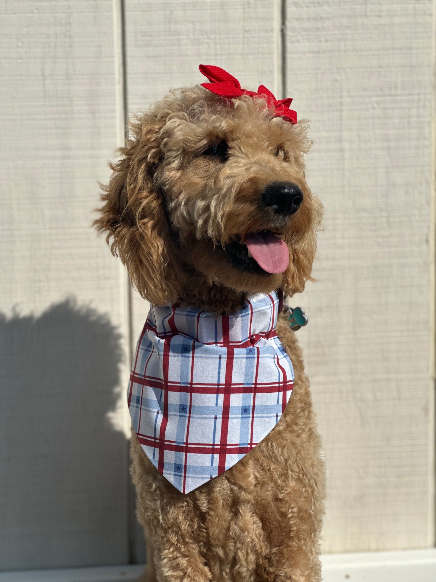 Patriotic picnic