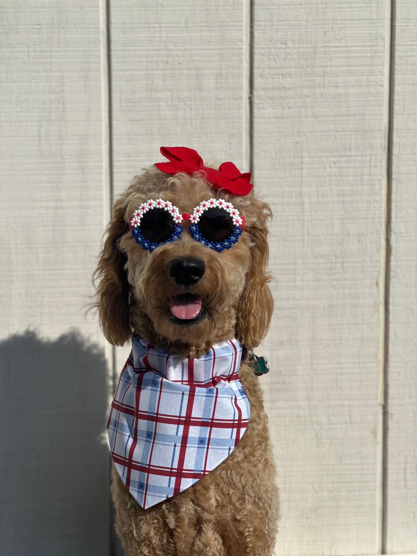 Patriotic picnic