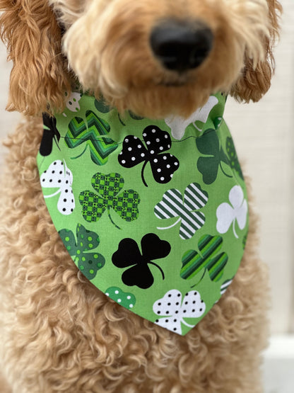 LUCKY PUP (reversible)